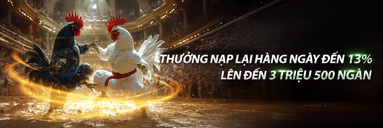 Đá Gà Trực Tiếp 333666v Nhà Cái